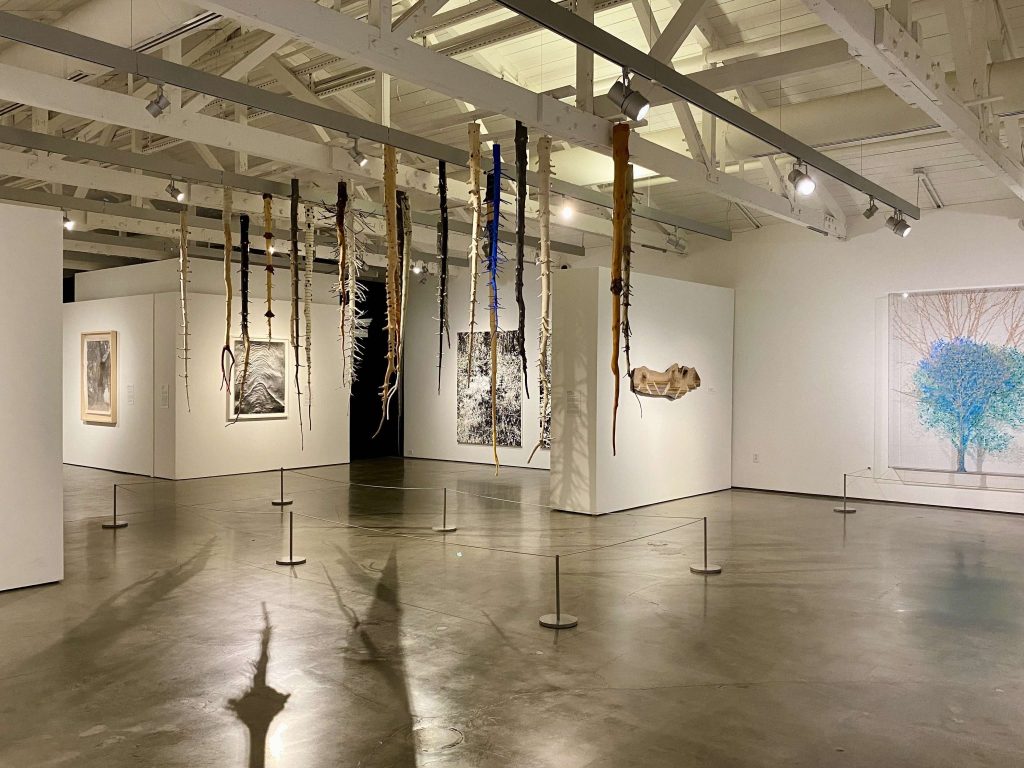 tree art gallery